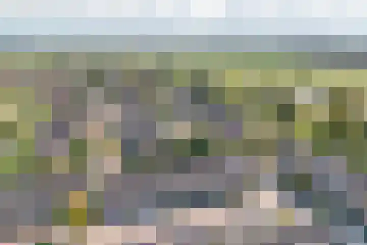 De Wielewaal 23 Zevenhuizen thumbnail 41
