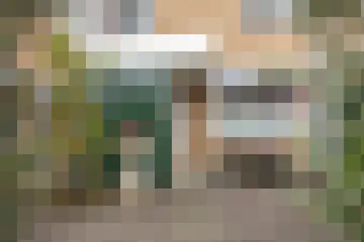 De Wielewaal 23 Zevenhuizen thumbnail 6