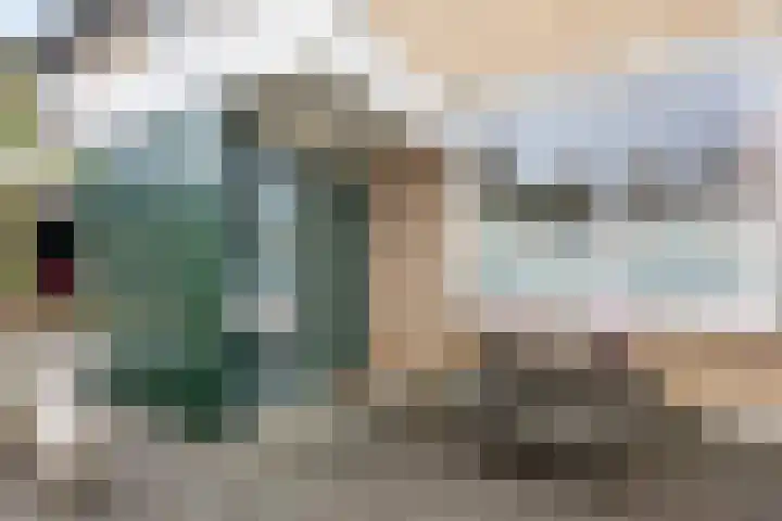 De Wielewaal 23 Zevenhuizen thumbnail 7