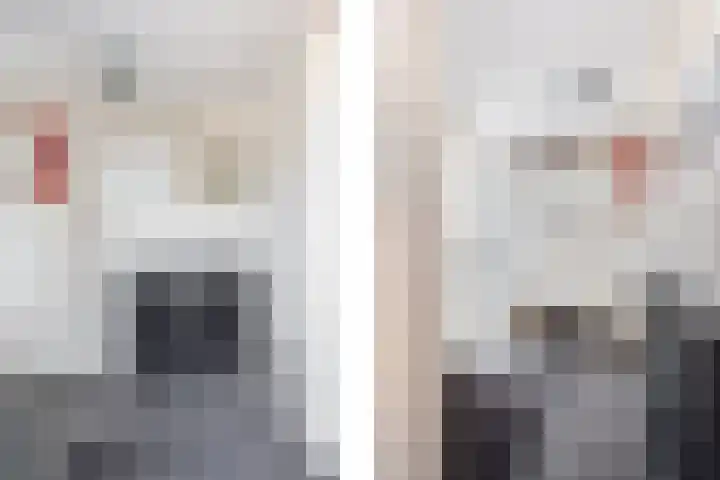 De Wielewaal 23 Zevenhuizen thumbnail 8