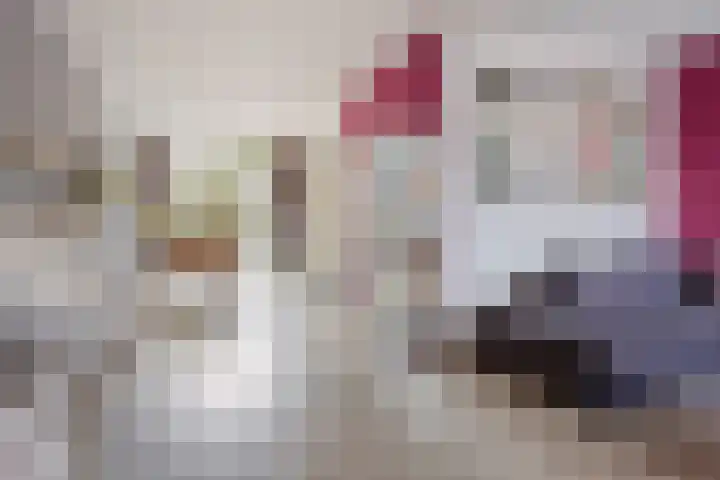 De Wielewaal 23 Zevenhuizen thumbnail 9