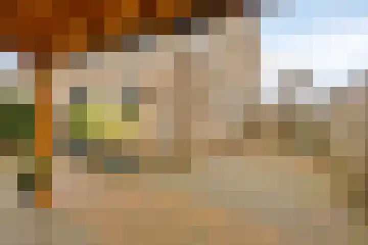De Wielewaal 33 Hoogeveen thumbnail 30