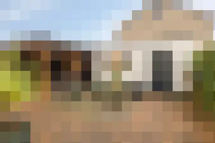 De Wielewaal 33 Hoogeveen thumbnail 34