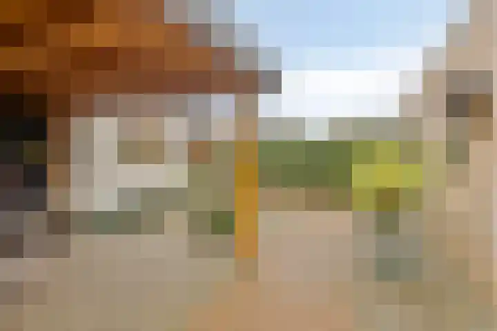 De Wielewaal 33 Hoogeveen thumbnail 35