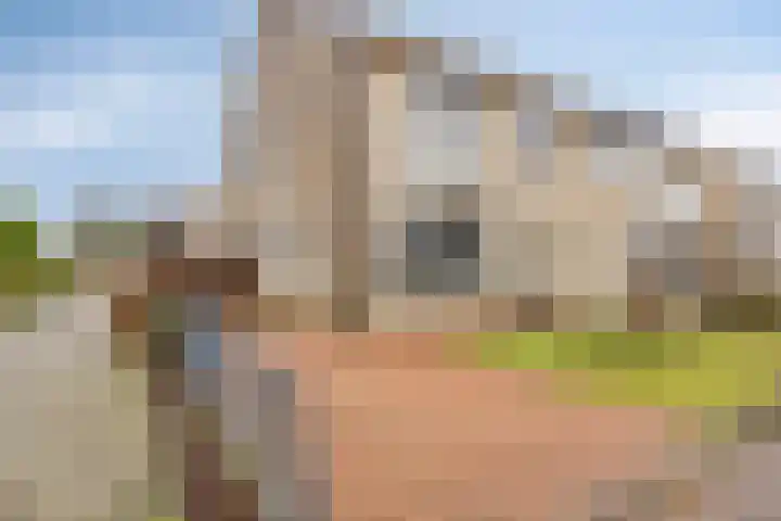 De Wielewaal 33 Hoogeveen thumbnail 38