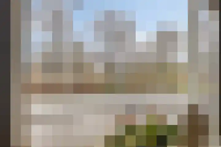 De Wielewaal 33 Hoogeveen thumbnail 4