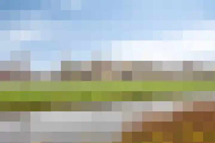 De Wielewaal 33 Hoogeveen thumbnail 41