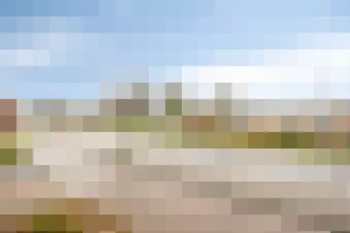 De Wielewaal 33 Hoogeveen thumbnail 42