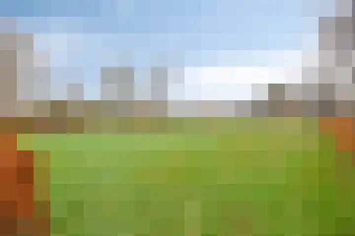 De Wielewaal 33 Hoogeveen thumbnail 44