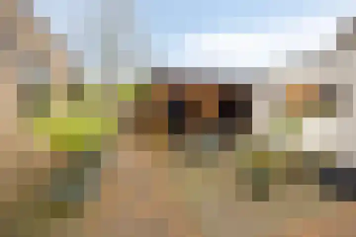 De Wielewaal 33 Hoogeveen thumbnail 6