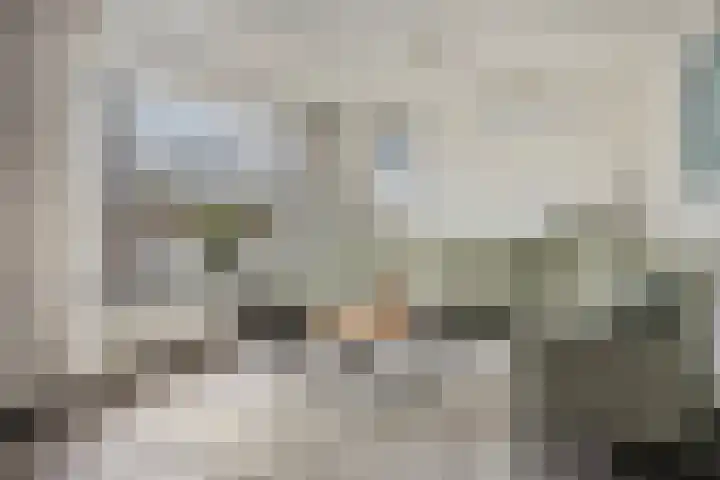 De Wielewaal 33 Hoogeveen thumbnail 8