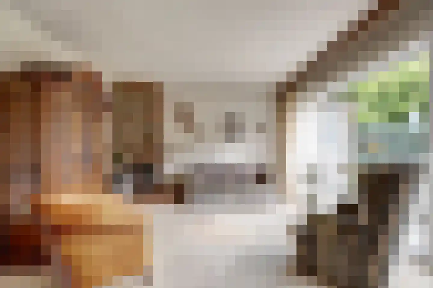 De Wielewaal 73 Zevenhuizen thumbnail 11