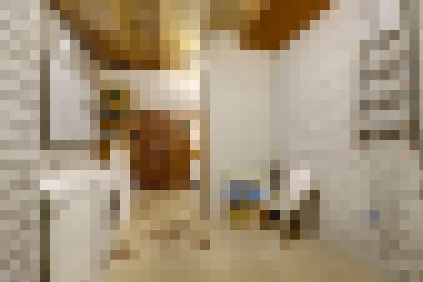 De Wielewaal 73 Zevenhuizen thumbnail 32