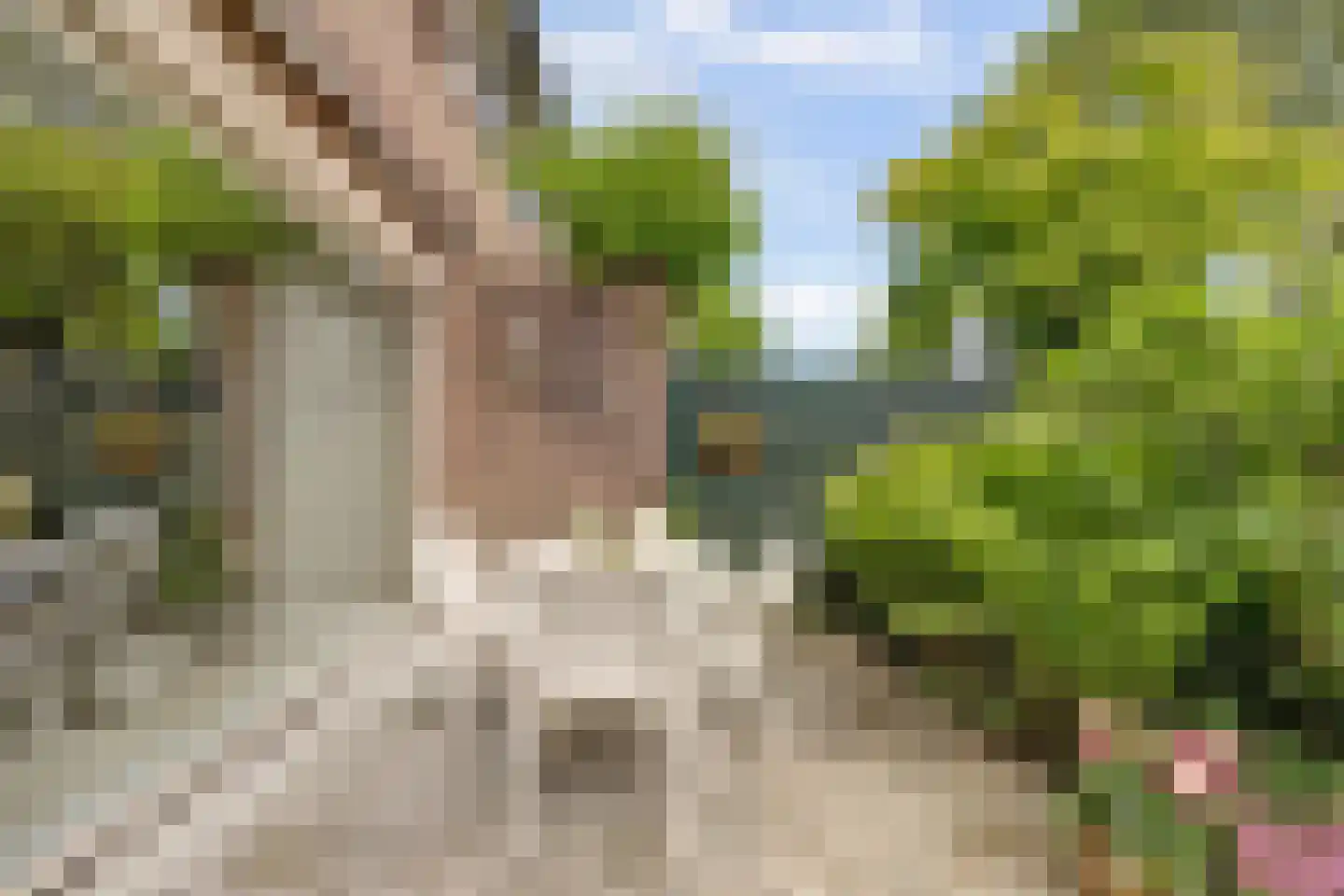 De Wielewaal 73 Zevenhuizen thumbnail 35