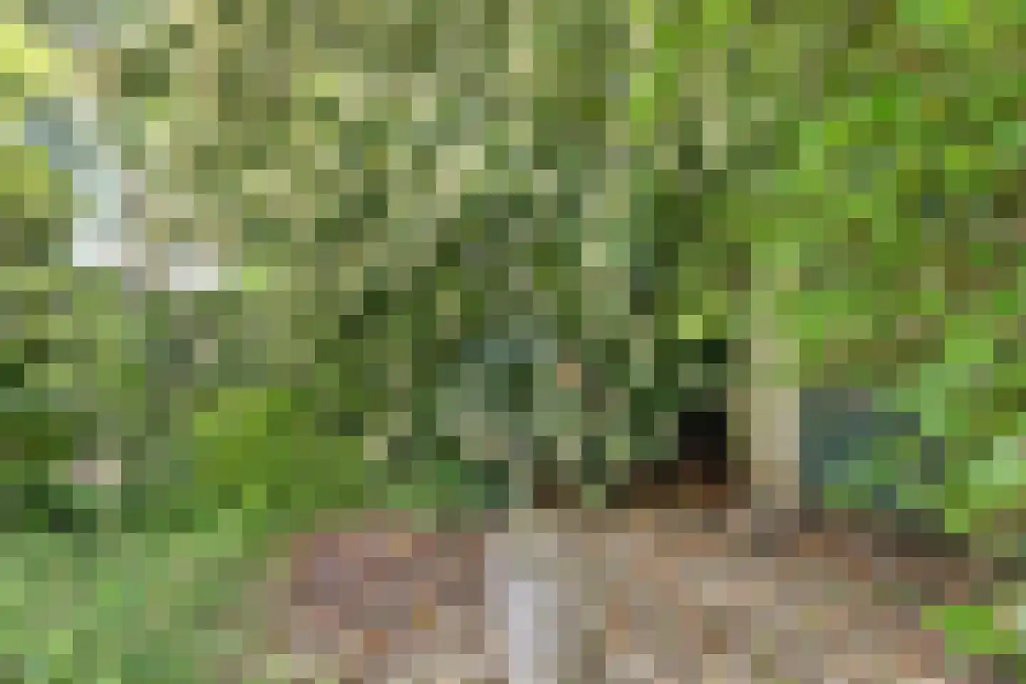 De Wielewaal 73 Zevenhuizen thumbnail 36