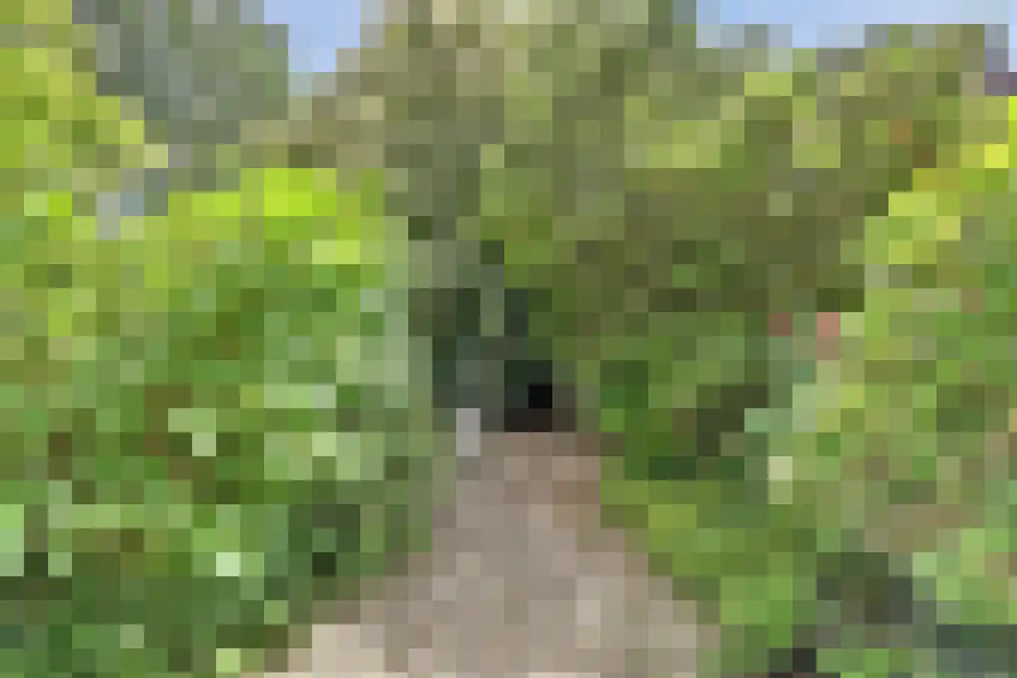 De Wielewaal 73 Zevenhuizen thumbnail 37
