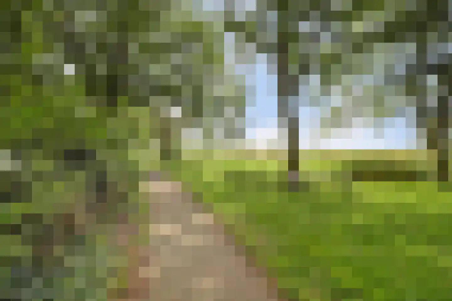De Wielewaal 73 Zevenhuizen thumbnail 38