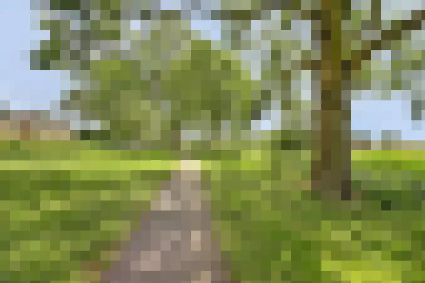 De Wielewaal 73 Zevenhuizen thumbnail 39