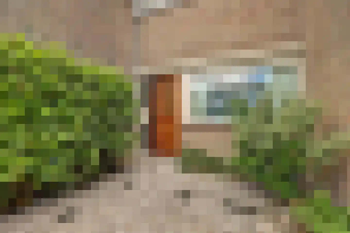De Wielewaal 73 Zevenhuizen thumbnail 8
