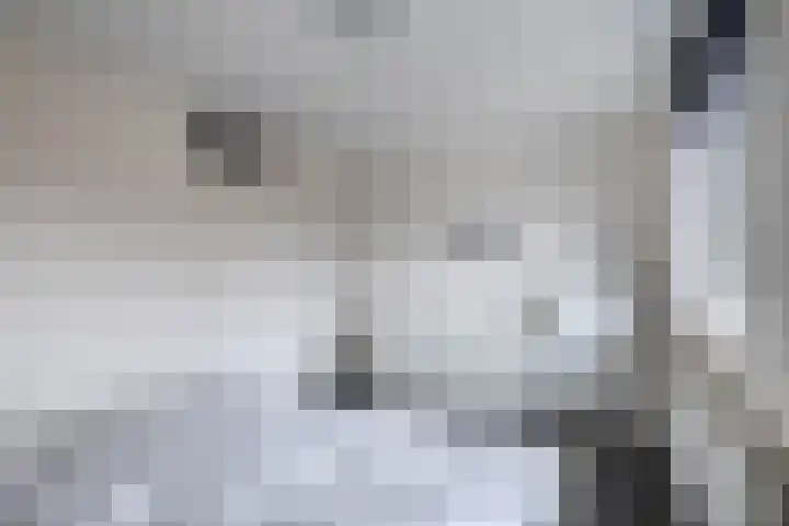 De Wielewaal 9 Almelo thumbnail 15
