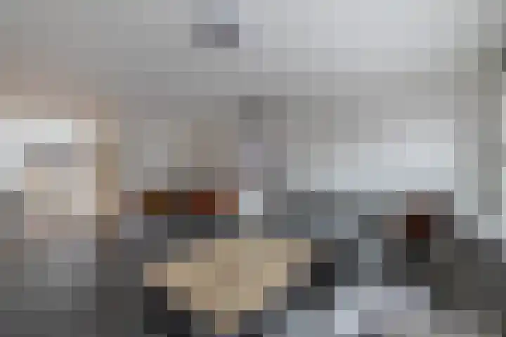 De Wielewaal 9 Almelo thumbnail 6
