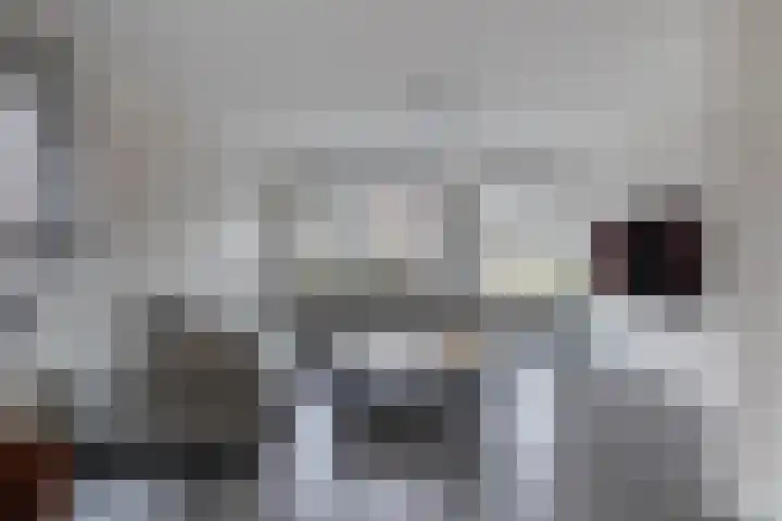 De Wielewaal 9 Almelo thumbnail 7