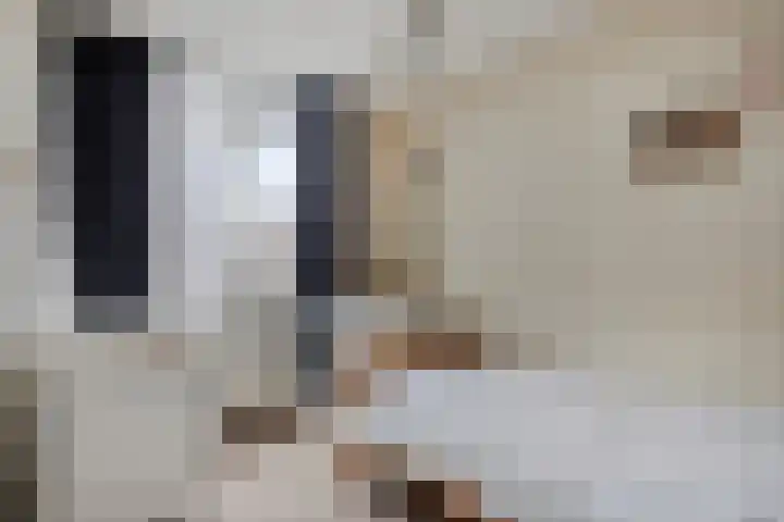 De Wielstraat 27 Beusichem thumbnail 23