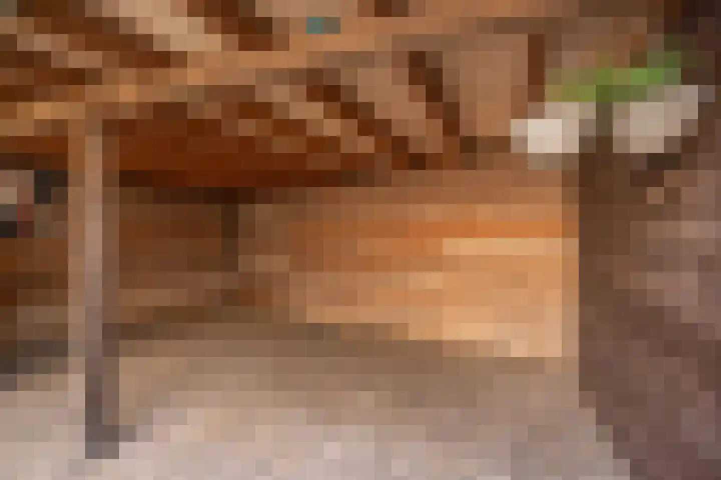 De Wielwijck 13 Hedel thumbnail 27