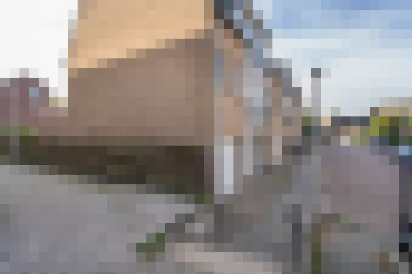 De Wielwijck 13 Hedel thumbnail 31