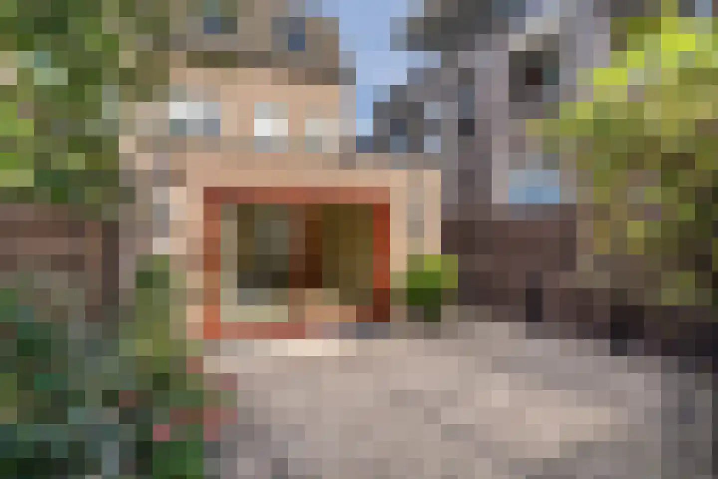 De Wielwijck 13 Hedel thumbnail 7