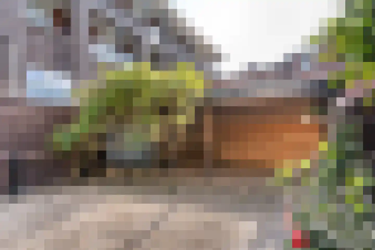 De Wielwijck 13 Hedel thumbnail 8