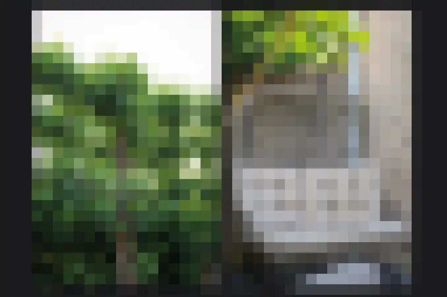 De Wielwijck 2 Hedel thumbnail 28