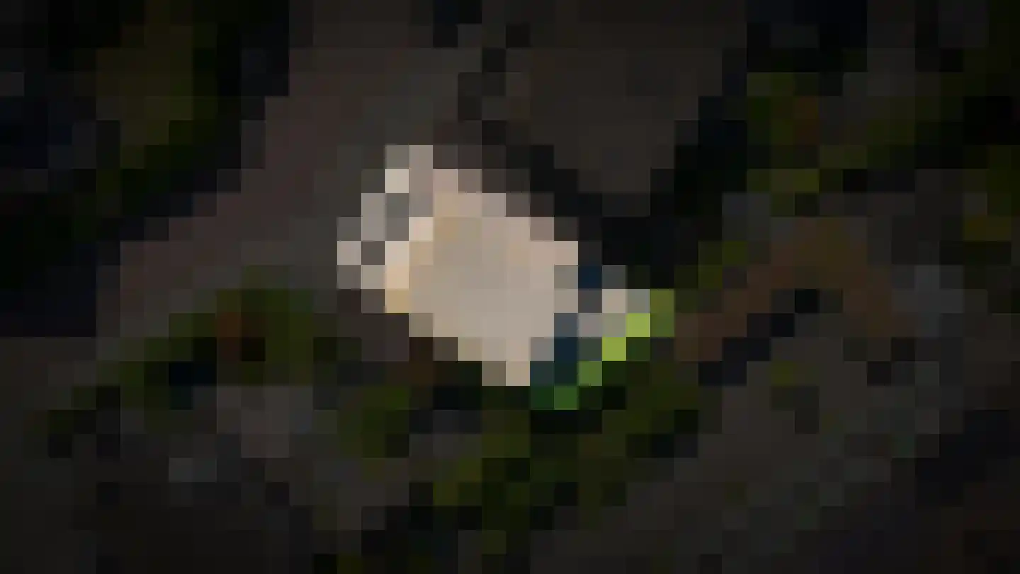 De Wielwijck 2 Hedel thumbnail 35