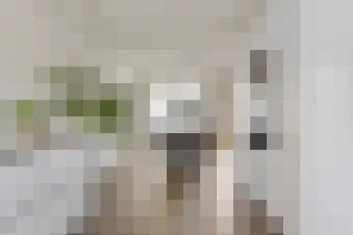 De Wielwijck 7 Hedel thumbnail 11