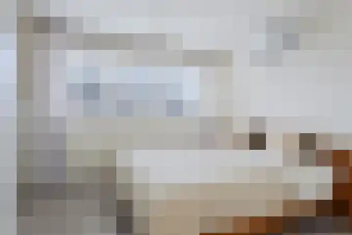 De Wielwijck 7 Hedel thumbnail 18