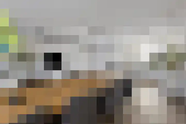 De Wielwijck 7 Hedel foto 2