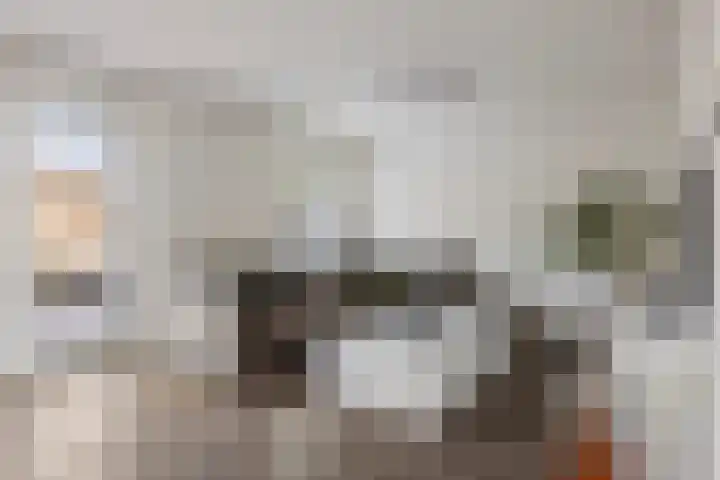 De Wielwijck 7 Hedel foto 3