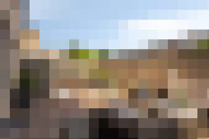 De Wielwijck 7 Hedel thumbnail 33