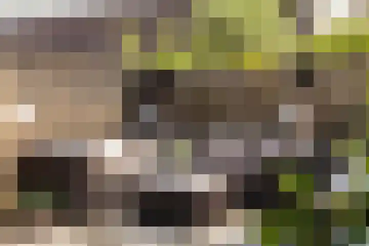 De Wielwijck 7 Hedel thumbnail 36