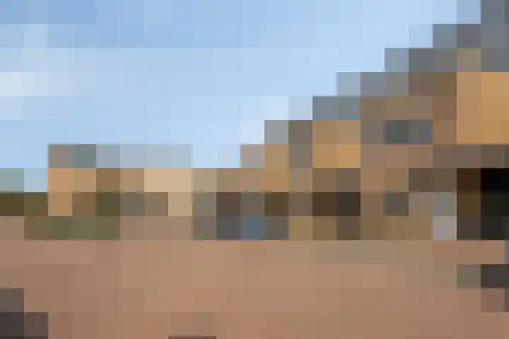 De Wielwijck 7 Hedel thumbnail 40