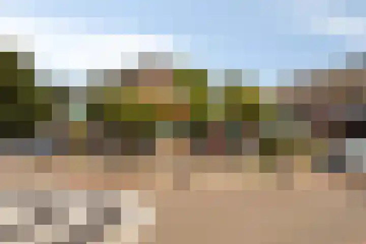De Wielwijck 7 Hedel thumbnail 41