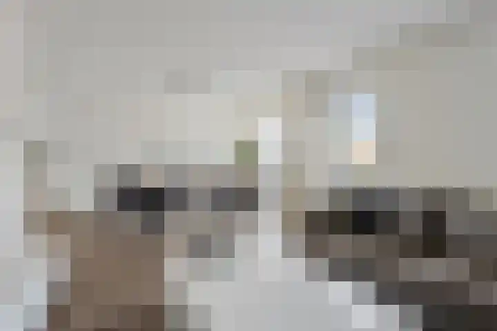 De Wielwijck 7 Hedel thumbnail 5