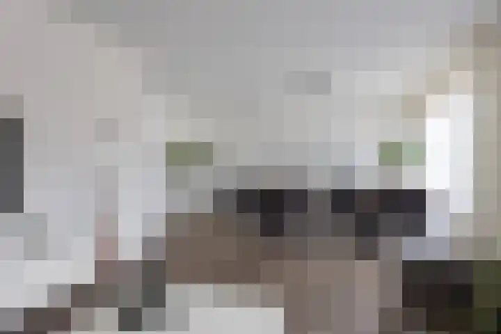 De Wielwijck 7 Hedel thumbnail 6