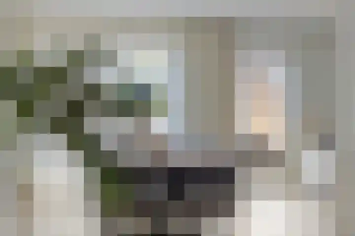 De Wielwijck 7 Hedel thumbnail 9