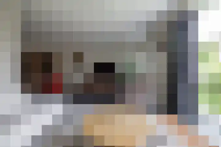 de Wiemel 8 Gieten thumbnail 12