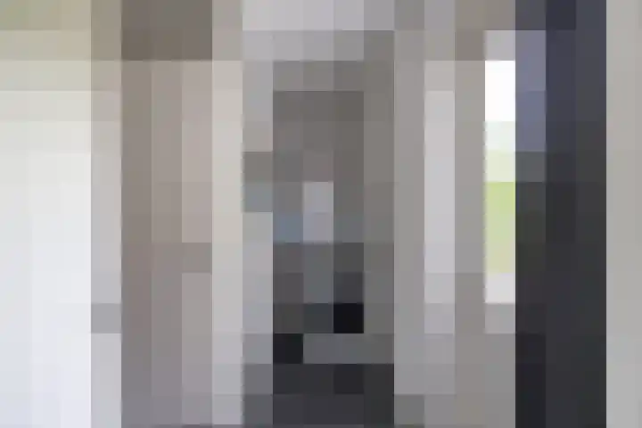 de Wiemel 8 Gieten thumbnail 20