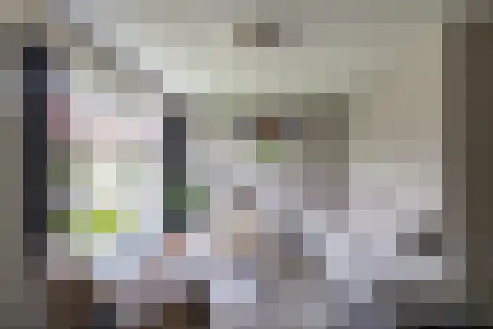 de Wiemel 8 Gieten foto 3