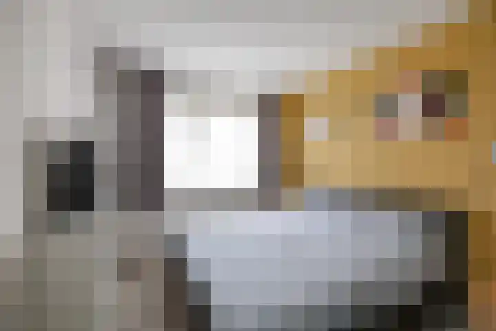 de Wiemel 8 Gieten thumbnail 32