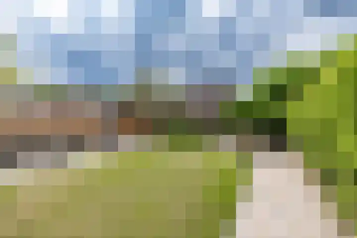 de Wiemel 8 Gieten thumbnail 40