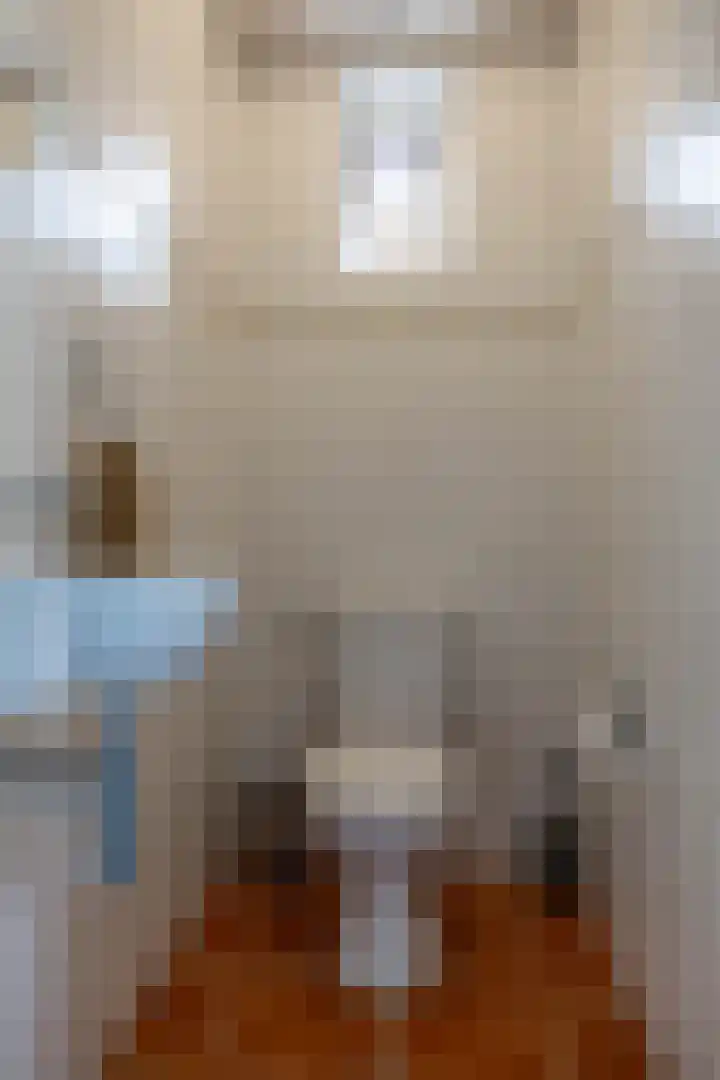 de Wiemel 8 Gieten thumbnail 9